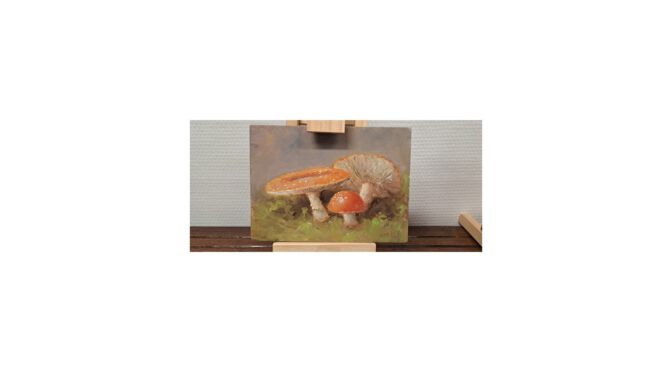 Schilderij stilleven paddestoelen, olieverf op paneel, E.P. Moleveld, Den Haag, 1946 – heden.