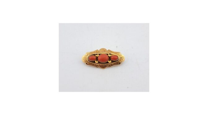 Broche 14k goud met bloedkoraal.