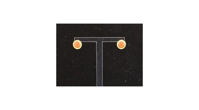 Oorbellen 14k goud met bloedkoraal.