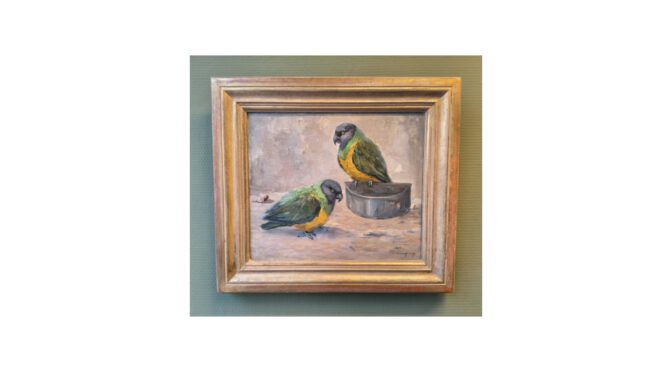 Schilderij, “bonte boeren” (senegalpapegaaien), olieverf op doek, Arie Wassenburg (Delft 1896 – 1970)